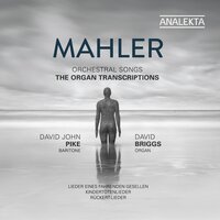 Des Knaben Wunderhorn: Urlicht (Arr. for Voice and Organ) - David John Pike & David Briggs & Густав Малер