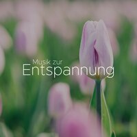 Meditation Musik - Zen Nadir
