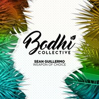 Weapon Of Choice - Sean Guillermo