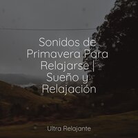 Orillas Alineadas - Música Para Dormir Inspirada En El Espacio & Ambiente & Música Zen Relaxante