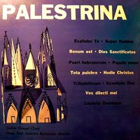 Laudate Dominum - Sistine Chapel Choir & Msgr. Prof. Dominic Bartolucci & Джованни Пьерлуиджи да Палестрина