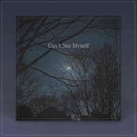 Can't See Myself - Pamin & BLG