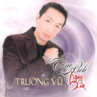 Mưa trên phố Huế - Trường Vũ