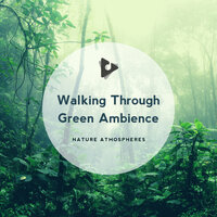 Major Nature Addiction - #Calming & Nature Sounds