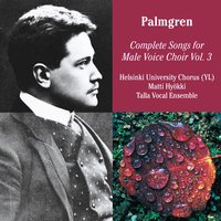Det ringer till begravning - Soi kuolinkellot - Ylioppilaskunnan Laulajat - YL Male Voice Choir