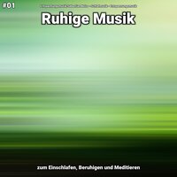 Ruhige Musik Teil 55 - Entspannungsmusik Sebastian Noiro & Schlafmusik & Entspannungsmusik