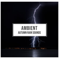 Californian Waves - Rain Forest FX, Pacific Rim Nature Sounds, Nature Chillout & Pacific Rim Nature Sounds & Nature Chillout & Rain Forest FX