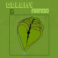 Pra Você Guardei o Amor - Nando Reis & Colomy