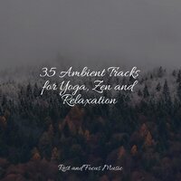Meditation Music - Musica Para Dormir y Sonidos de la Naturaleza & Meditação Maestro & Spa & Spa