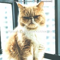 Видения (Милые кошки) - Музыка для кошек Коллекции