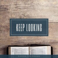 Keep Looking - Damon Tolzmann