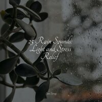 Rainy Night - Natural Sounds & Nature Sound Series & Meditation Relaxation Club