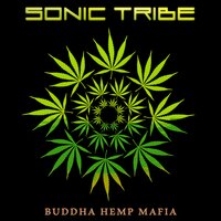 Electric Universe - Sonic Tribe