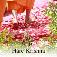 Krishna Re - Zen Meditation Music Academy