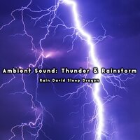 Windy Drip - Rain David Sleep Dragon