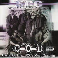 I'm A Rider - South Central Cartel