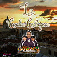 Te Olvidare - Grupo Yigobey & grupo tlamacolombia