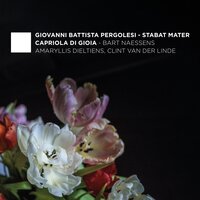 Stabat Mater, P. 77: VI. Vidit suum dulcem natum - Capriola di Gioia & Джованни Баттиста Перголези & Amaryllis Dieltiens & Clint van der Linden