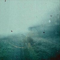 First Summer - Strws