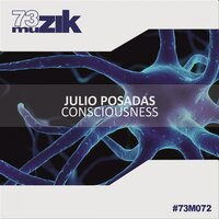 Consciousness - Julio Posadas