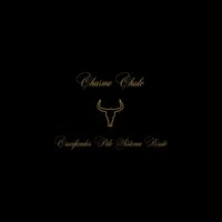 Novos Ricos - Charme Chulo