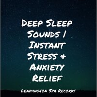 Bliss - Meditation Music Club & Zona Música Relaxante & Best Kids Songs
