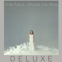 The Waitress - Tori Amos