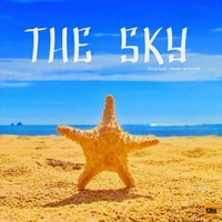 Diving In The Sky - Digital Underground