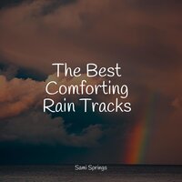 Water, Creek, Birds, Morning - Relaxation Personal Guru & Nature Sounds for Concentration & Deep Sleep Music Academy