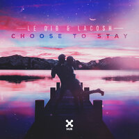 Choose To Stay - Le Dib & Lacosh