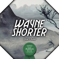 The Albatross - Wayne Shorter