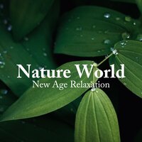 Schumann Serenity - Aromatherapy (Nature Sound) - Sleep Sounds Of Nature