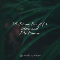 Soft Serendipity - The Sleep Helpers & Natureza Musica Bem-Estar Academia & Deep Relaxation Meditation Academy