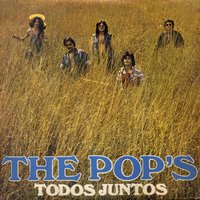 Lago Dos Cisnes - The Pop's