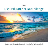 Die Nacht kehrt heim - Thors