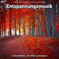 Autogenes Training in der Sonne - Entspannungsmusik Malena Stickler & Schlafmusik & Entspannungsmusik