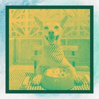 Majestic Moods for Serene Puppies - Dog Music Zone