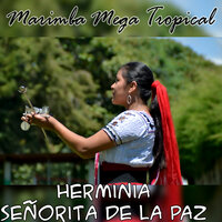 Rosa - Marimba Mega Tropical