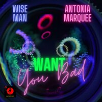 Want You Bad - Wiseman & Antonia Marquee