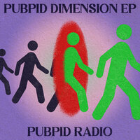 Into the Kitchen - PUBPID RADIO