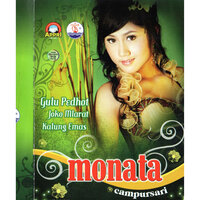 Kopi Opo Susu - RENA