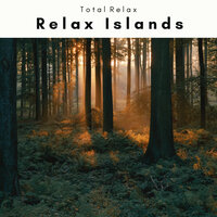Clear Water Tunes for Perfect Dreams - Total Relax & Seascapers