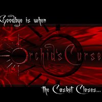 Suckerpunch - Orchid's Curse