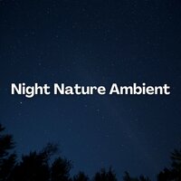 Healing Harmony - Night Sounds Channel