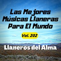 Yo Soy la Otra - Llaneros del Alma