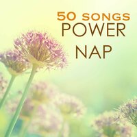 Blooming Orchid - Sleep Harmony