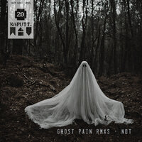 Ghost Pain - Nuclear Digital Transistor & The Virginia Valley
