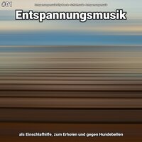 Entspannungsmusik Teil 49 - Entspannungsmusik Lilly Hanck & Schlafmusik & Entspannungsmusik