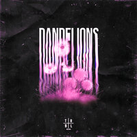 Dandelions (Slowed + Reverb) - Scorry Morry & slowed down music
