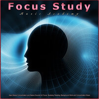 Binaural Beats with Forest Sounds - Focus Study Music Academy & Alpha Waves Concentration & Binaural Beats